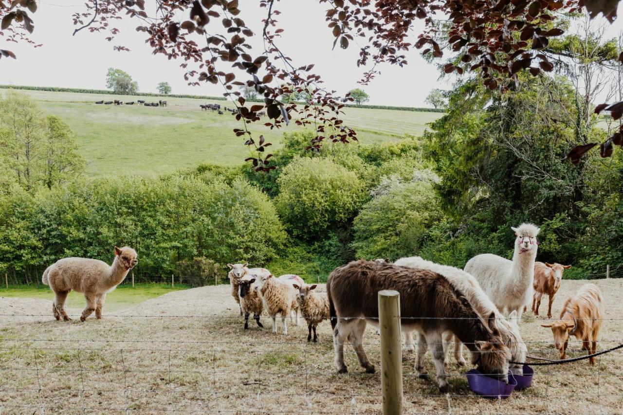 Smeaton Farm Luxury B&B St Mellion Zewnętrze zdjęcie